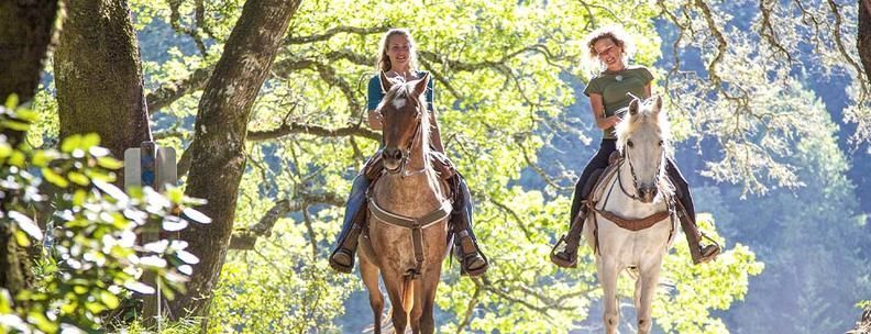 Reiten in Wemding
