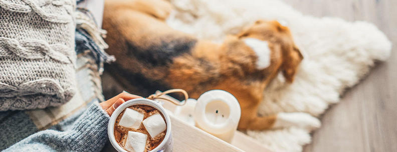 Ferienhaus mit Hund Silvester
