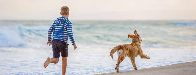 Hund und Kind an Nordseestrand