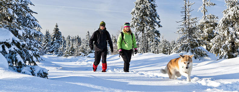 Winterwanderung mit Hund