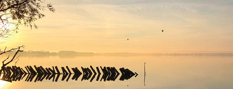 Aussicht Dümmer See