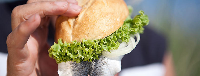 Fischbrötchen Ostsee Schleswig-Holstein