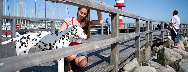 Hund Ostee Schleswig Holstein