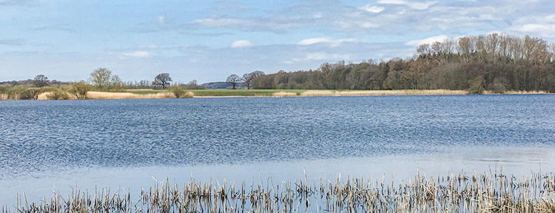 Wardersee Schleswig-Holstein