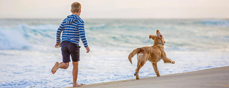 Junge mit Hund am Meer