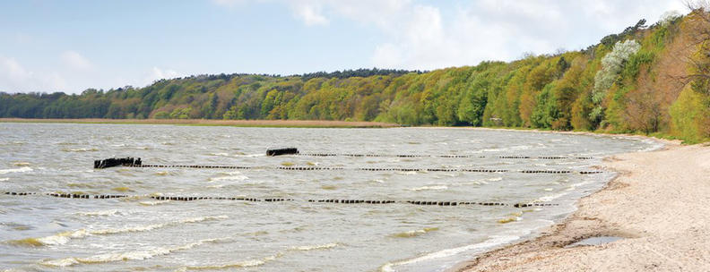Strand Usedom