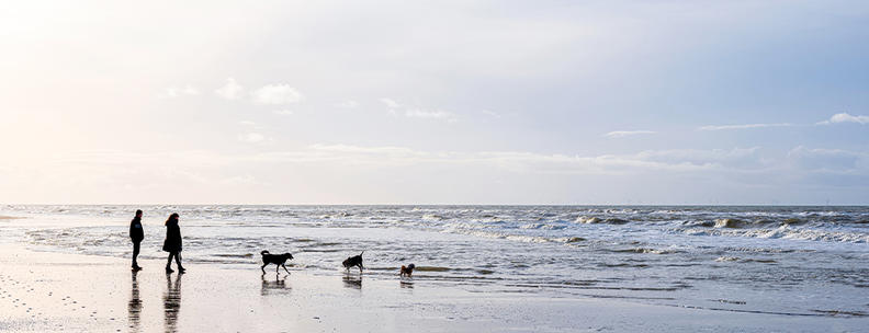 Niederlande 14 Tage kostenlose Stornierung
