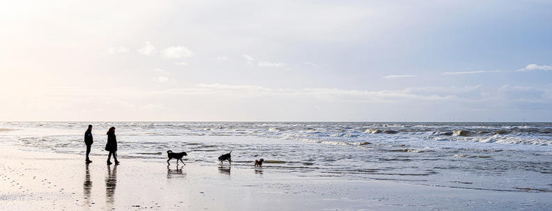 Urlaub am Meer Niederlande